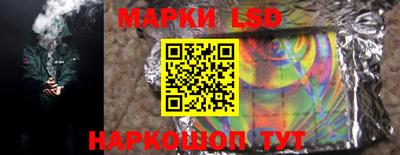 прущие грибы Камышлов
