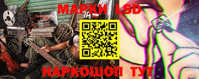 прущие грибы Камышлов