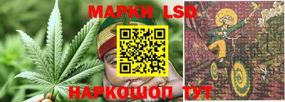 трава Кандалакша