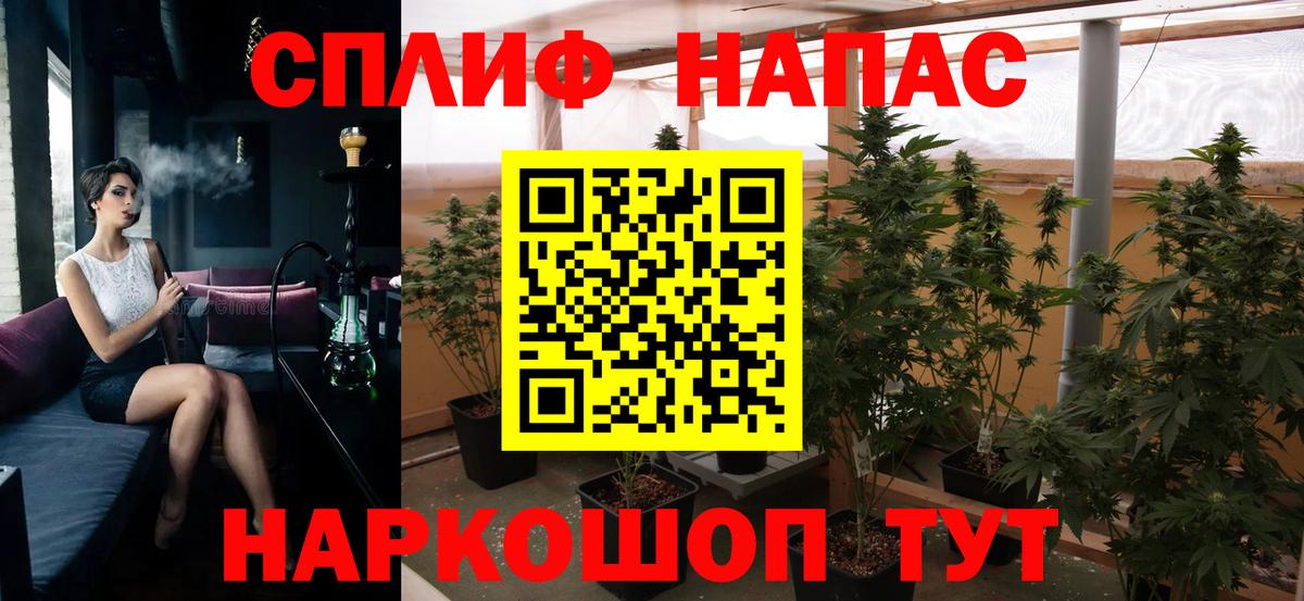 Каннабис марихуана Коркино